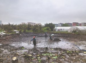襄阳河道鱼塘清淤